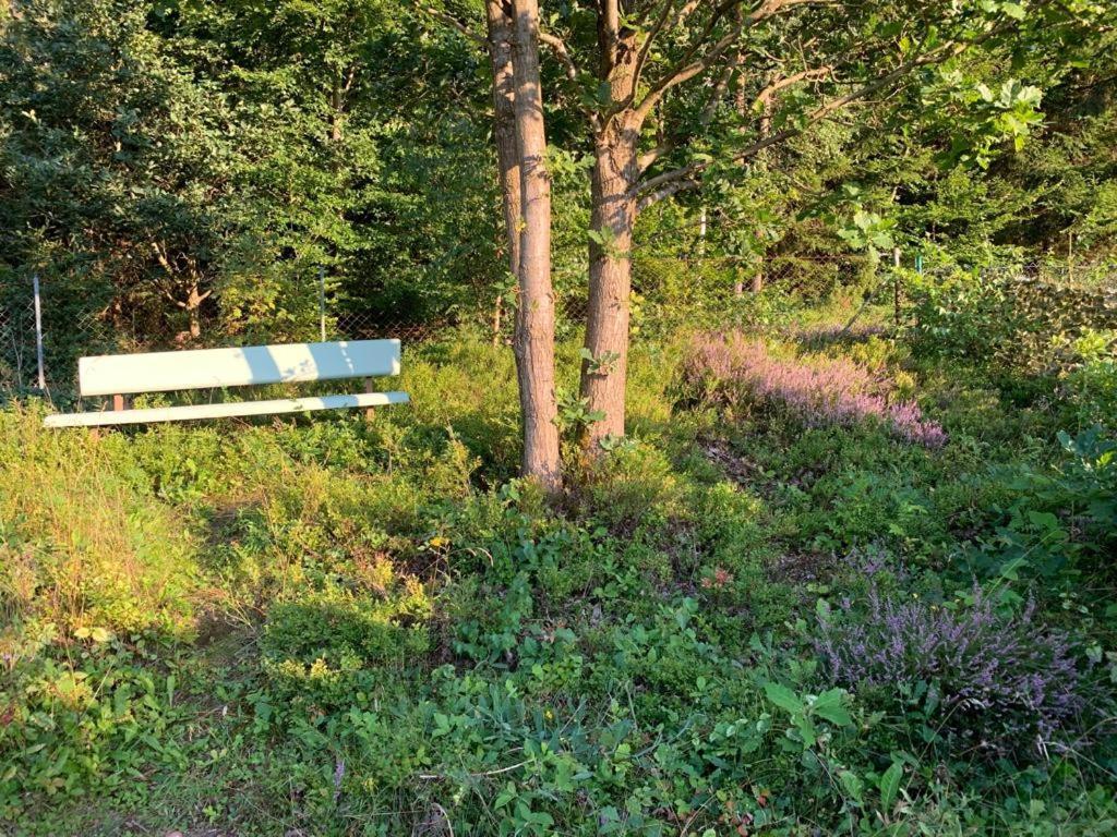 Gaestehaus Hochrhoenblick Schönau an der Brend Kültér fotó